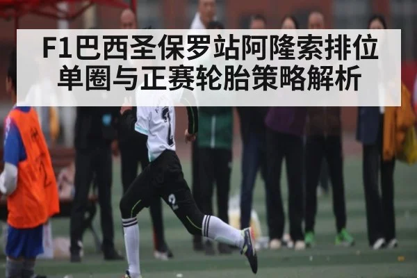 F1巴西圣保罗站阿隆索排位单圈与正赛轮胎策略解析